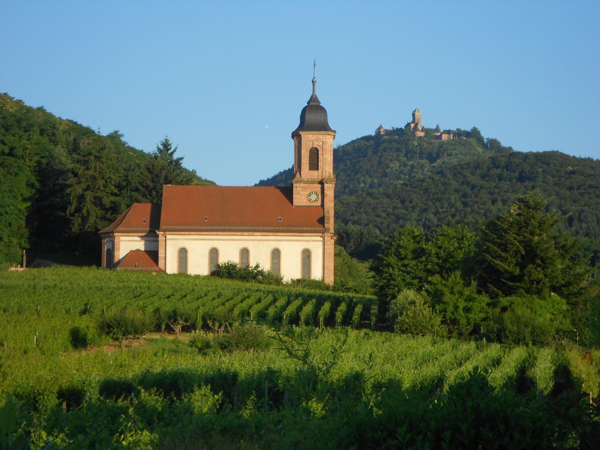 Au Coeur Du Vignoble Bed and Breakfast Orschwiller Buitenkant foto