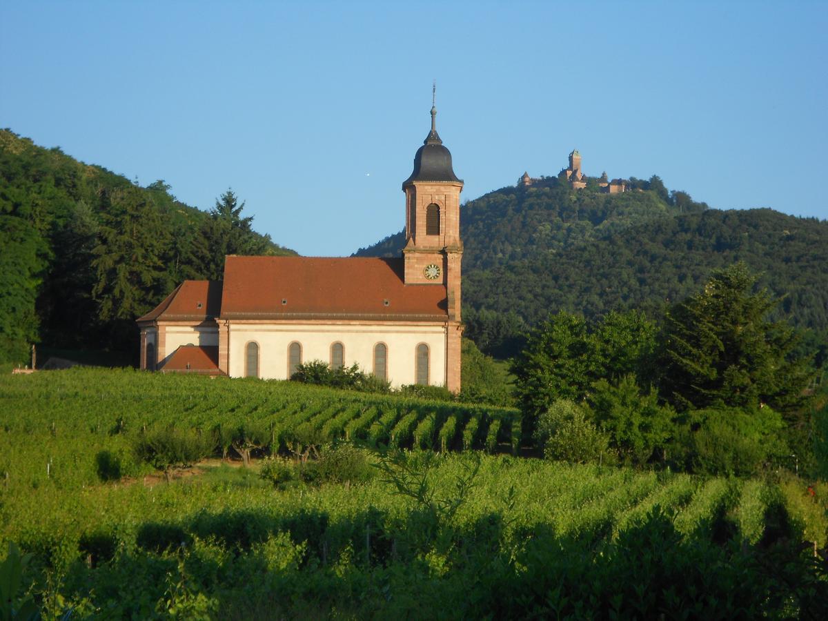 Au Coeur Du Vignoble Bed and Breakfast Orschwiller Buitenkant foto